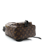 Monogram Palm Springs Backpack PM