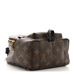 Monogram Palm Springs Backpack Mini