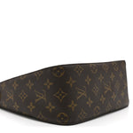 Monogram Looping MM