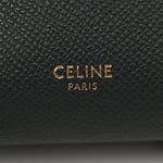 Grained Calfskin Nano Belt Bag Amazone