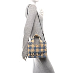X PAULA'S IBIZA Raffia Small Font Tote Natural Light Blue