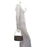 Monogram Chain Pochette Accessories