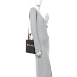 Triomphe Canvas Calfskin Mini Vertical Cabas Tan