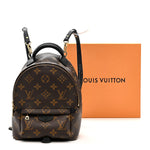 Monogram Palm Springs Backpack Mini