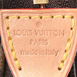 Monogram Chain Pochette Accessories