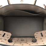 Ostrich Birkin 30 Mousse