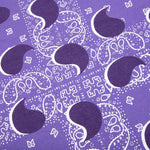 Awake Big Paisley L/S Tee - Sapphire