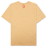 BB Arch S/S Knit - Curry