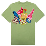 BB Arch S/S Knit - Green Tea