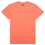 BB Warp S/S Tee - Shell Pink