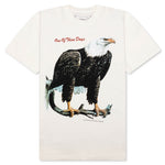 Bird Of Prey Tee - Bone