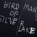 Birdman Of Silver Lake Hooded Sweatshirt - Black
