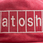 Block Logo Hat - Red