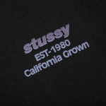 California Grown Pigment Dyed Tee - Black