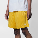 West Mesh Shorts - Desert Oasis