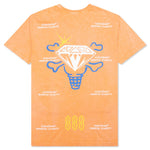 Mental Clarity S/S Knit - Copper Tan