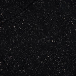 Salt Wash Court Short - Black