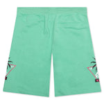 Authentic Falmouth Shorts - Light Green/Black