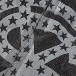 Van Winkle - Paradox Star