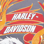 Harley Davidson Motorcycles - Washed Grey