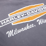Harley Davidson Motorcycles - Washed Grey