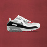 Air Max 90 LTR (GS) - Photon Dust/Particle Grey/Varsity Red