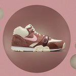 Air Trainer 1 Valentine's Day - Dark Pony/Soft Pink/Coconut Milk