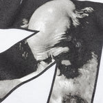 Caravaggio Arrow Slim S/S Tee - White/Black
