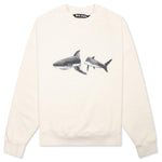 Shark Crew - Butter/Green