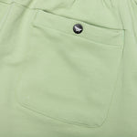 Altitude Short - Sage