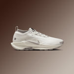 Pegasus Trail 5 GORE-TEX SP - Summit White/College Grey/Light Bone