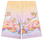 Printed Swim Boarder Shorts - Psychedelic Nirvana