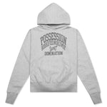 Possession Hoodie - Grey