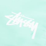 Stock Water Short - Aqua