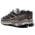 XT-6 - Earth Brown/Walnut/Footwear Silver