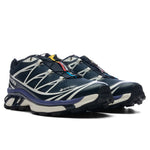 XT-6 GTX - Carbon/Vanilla Ice/Libert
