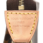 Monogram Mini Pochette Accessories