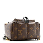 Monogram Palm Springs Backpack Mini