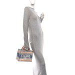 Canvas Calfskin Striped Triomphe Small Cabas Thais Multicolor