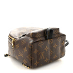Monogram Palm Springs Backpack Mini