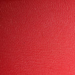 Ostrich Birkin 30 Rouge Vif