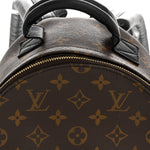 Monogram Palm Springs Backpack PM