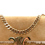 Suede Shearling Triomphe Chain Shoulder Bag Beige