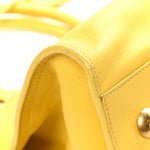 Calfskin Medium Classic Y Cabas Soleil
