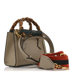 Textured Dollar Calfskin Web Mini Diana Tote Bag Oatmeal Vintage Green