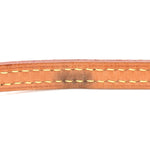 Monogram Nano Speedy