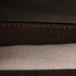 Monogram Jumbo GG Textured Dollar Calfskin Web Small Ophidia Chain Shoulder Bag Camel Ebony New Acero