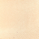 Grain De Poudre Classic Kate Monogram Clutch Nude Powder