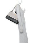 Suede Calfskin Shiny Lambskin Quilted Small Coco Base Shopping Bag Grey Black
