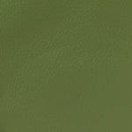 Roxy Calfskin Web Medium Blondie Top Handle Shoulder Flap Bag Salamander Green
